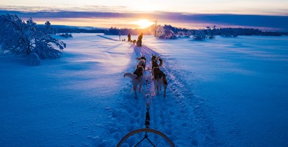 Our Carbon Neutral Holidays
